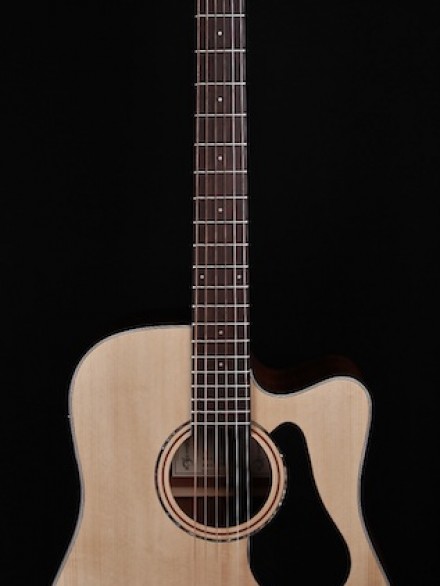 Artist Series Dreadnought Cutaway with Preamp