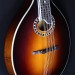 O-HOLE A-STYLE MANDOLIN CL FIN W/CASE