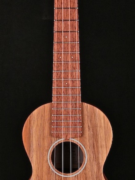 美品】Pegasus Guitars ukulele T4 【超目玉枠】 44.0%割引 ...