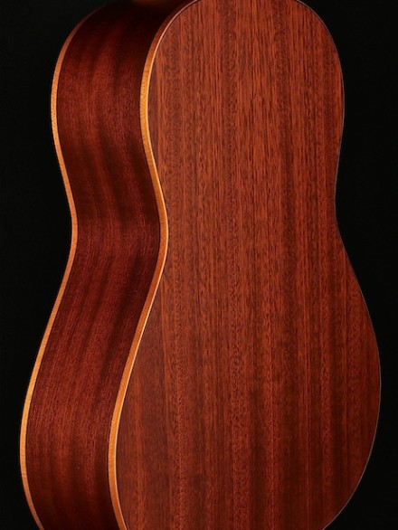 1/2 SIZE CEDAR TOP NYLON STRNG FAMILY SERIES W/GIG BAG