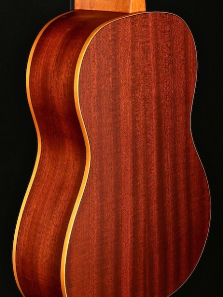 Family Series 1/4 Size Nylon String