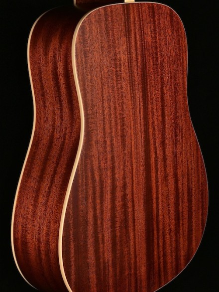 Artist Series Dreadnought with Solid Spruce Top