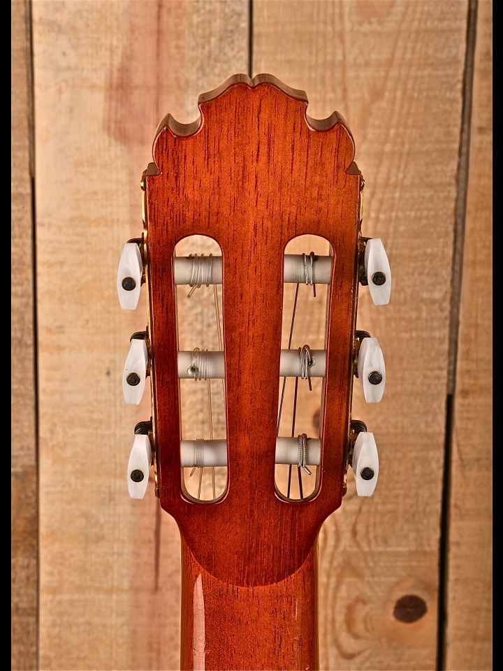 weerstand bieden zelf Herdenkings Maple Street Guitars | Classical