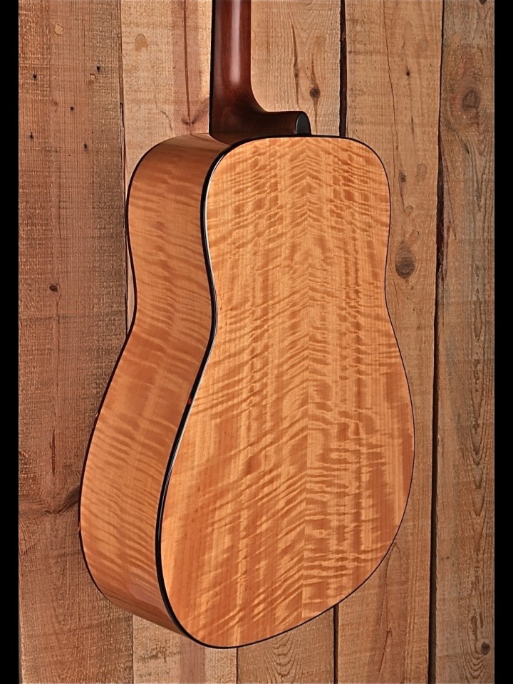 Maple Street Guitars | Solid State