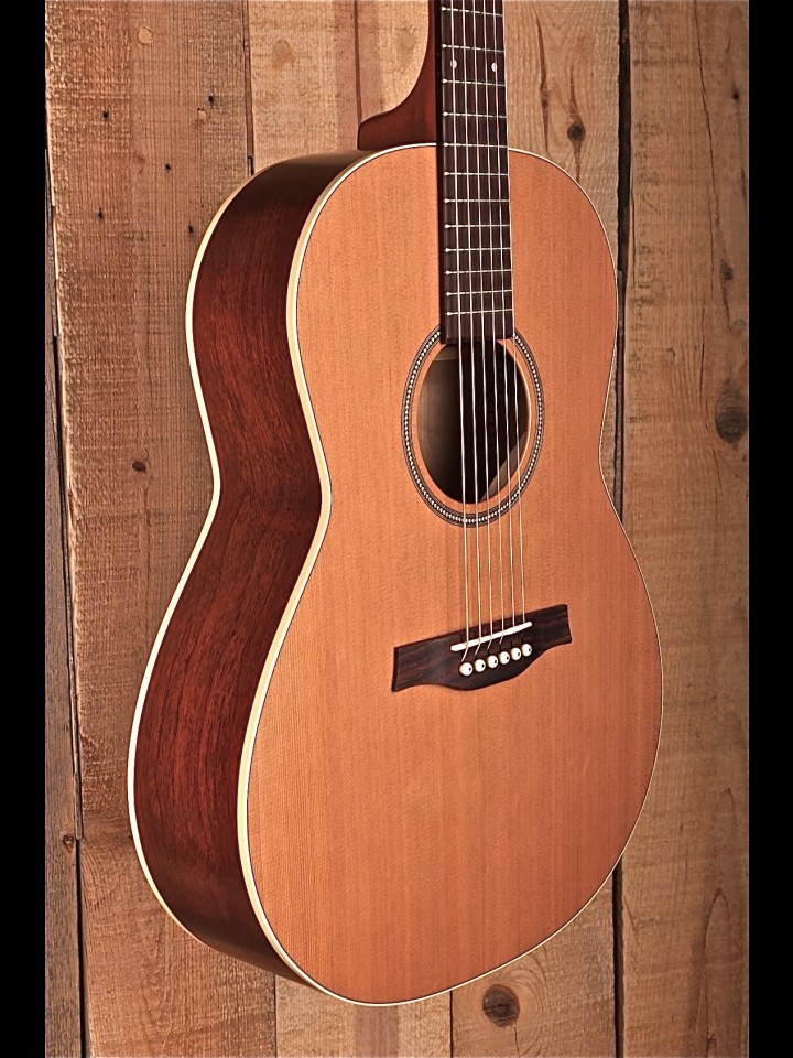 Maple Street Guitars | Acoustic